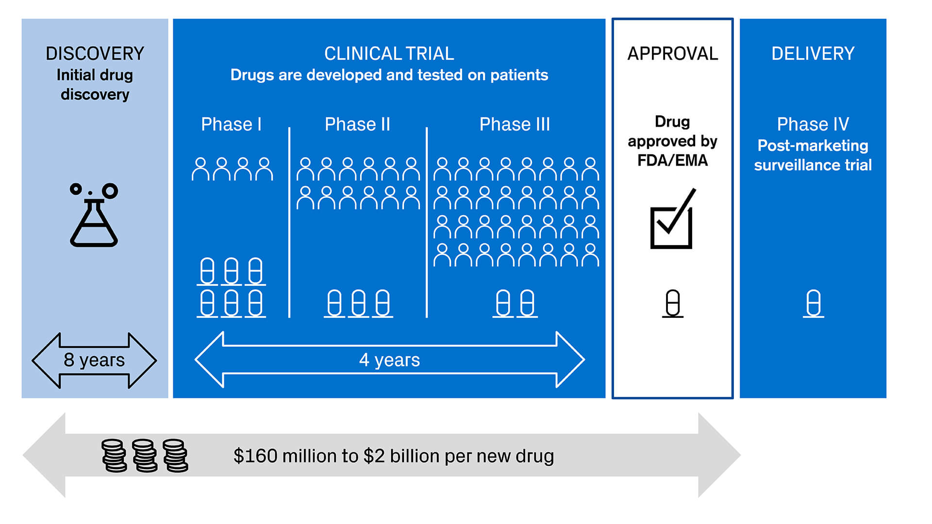 Different stages in drug development